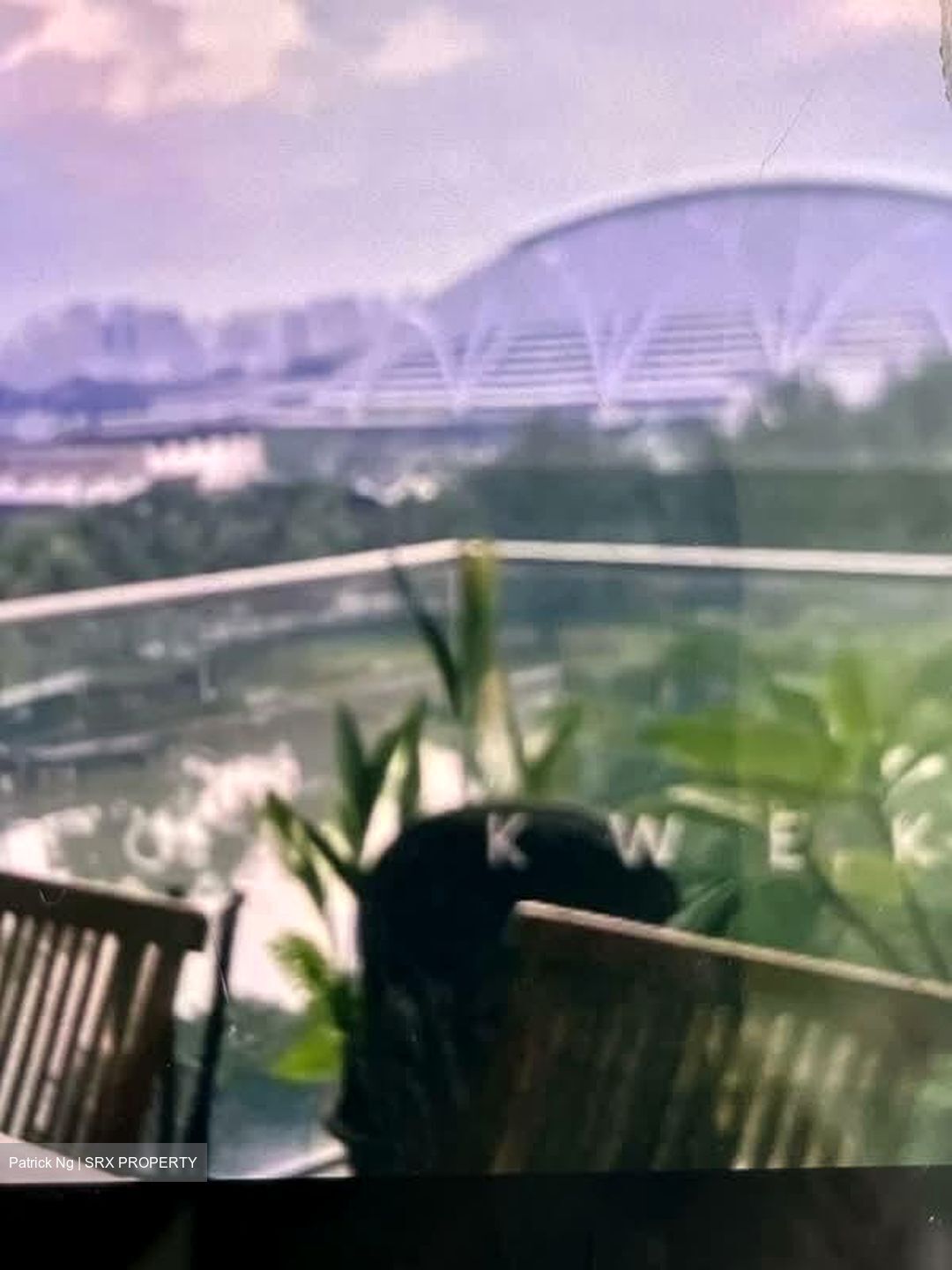The Riverine By The Park (D12), Apartment #580196711